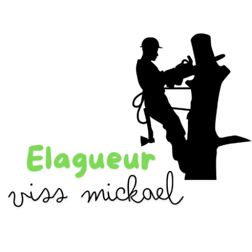 Élagueur Viss Mickaël – élagueur grimpeur en Indre-et-Loire (37)