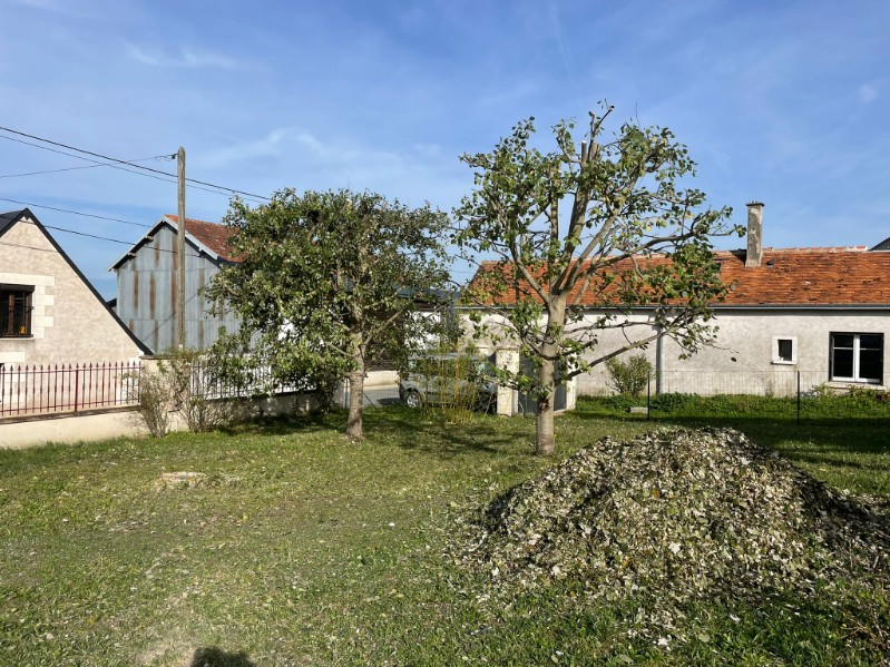 Élagueur grimpeur intervenant en Indre-et-Loire 37