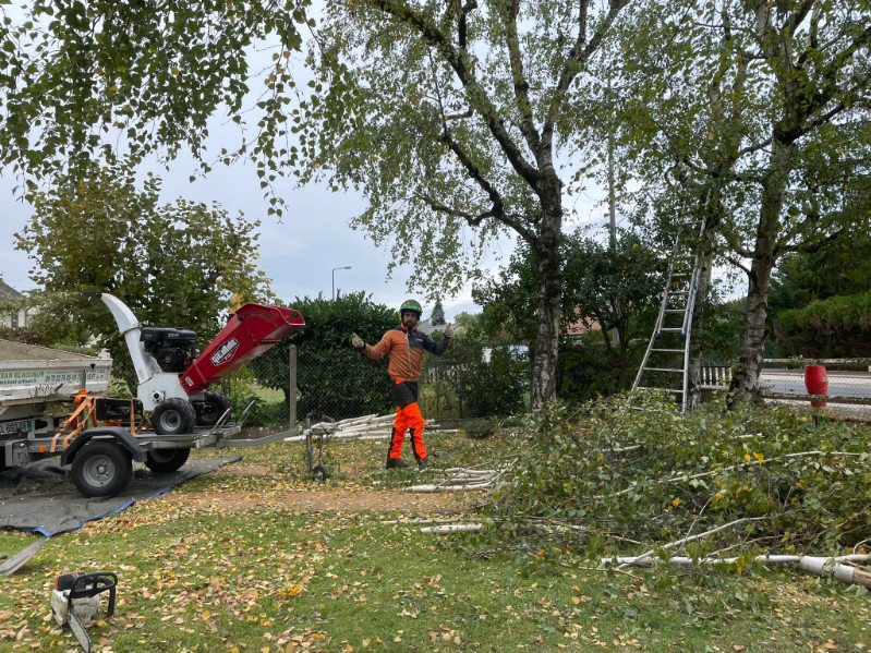 Chantier d'élagage en hauteur dans le 37