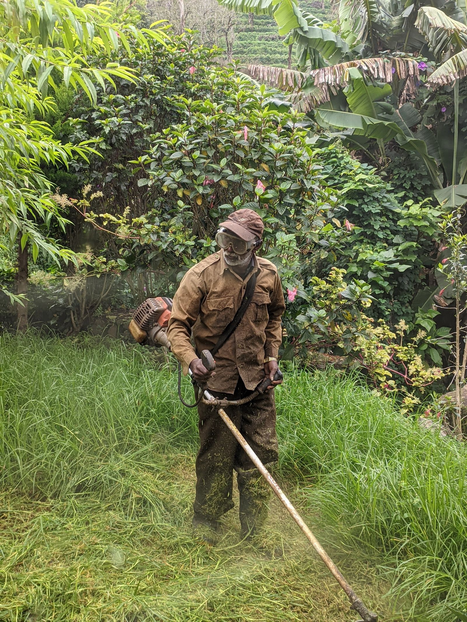 Débroussaillage d'un terrain envahi par les herbes hautes — Élagueur Viss Mickaël, Indre-et-Loire (37)